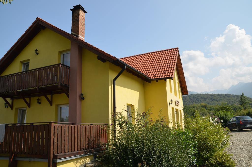 Pensiunea Arpasel Arpasu de Sus Luaran gambar